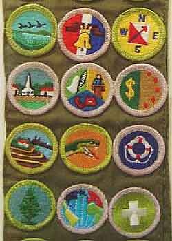 MeritiBadgeSash-AOGHS merit badge