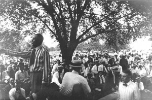 March-2-elm-AOGHS E.E. Walters auctions Osage leases in shade of Elm tree