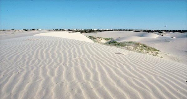 monahans oil museum Sandhills state park