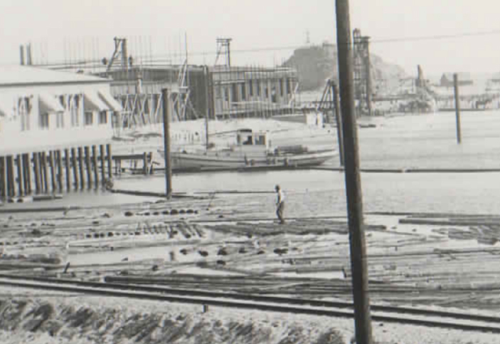 puetne oil